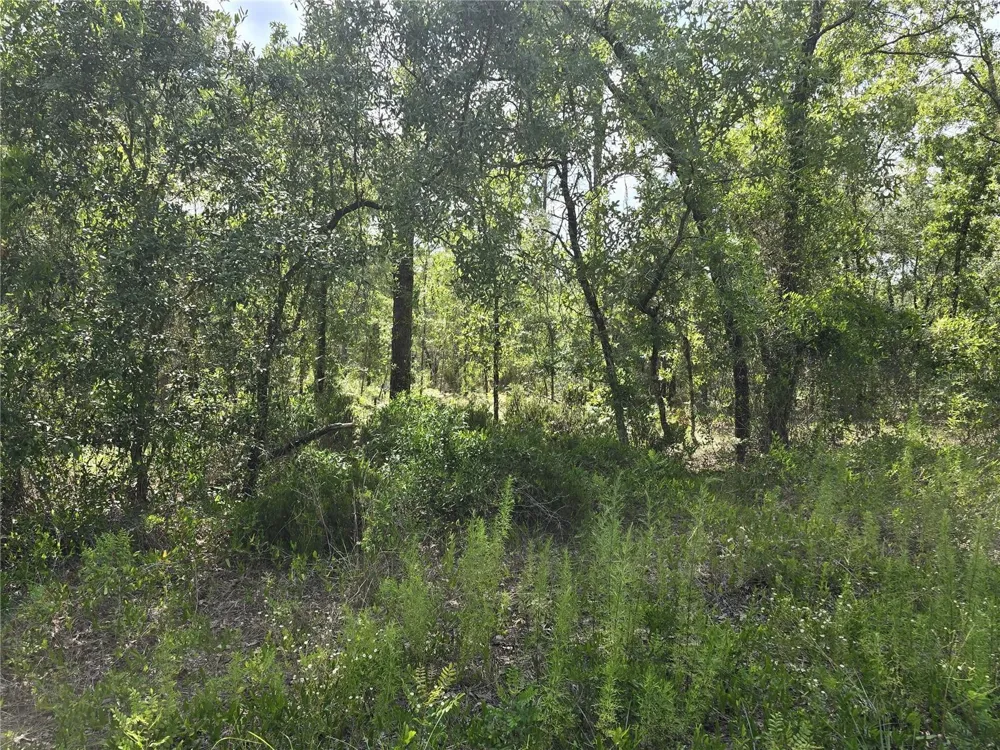 00 NE 121ST AVENUE Williston, FL 32696