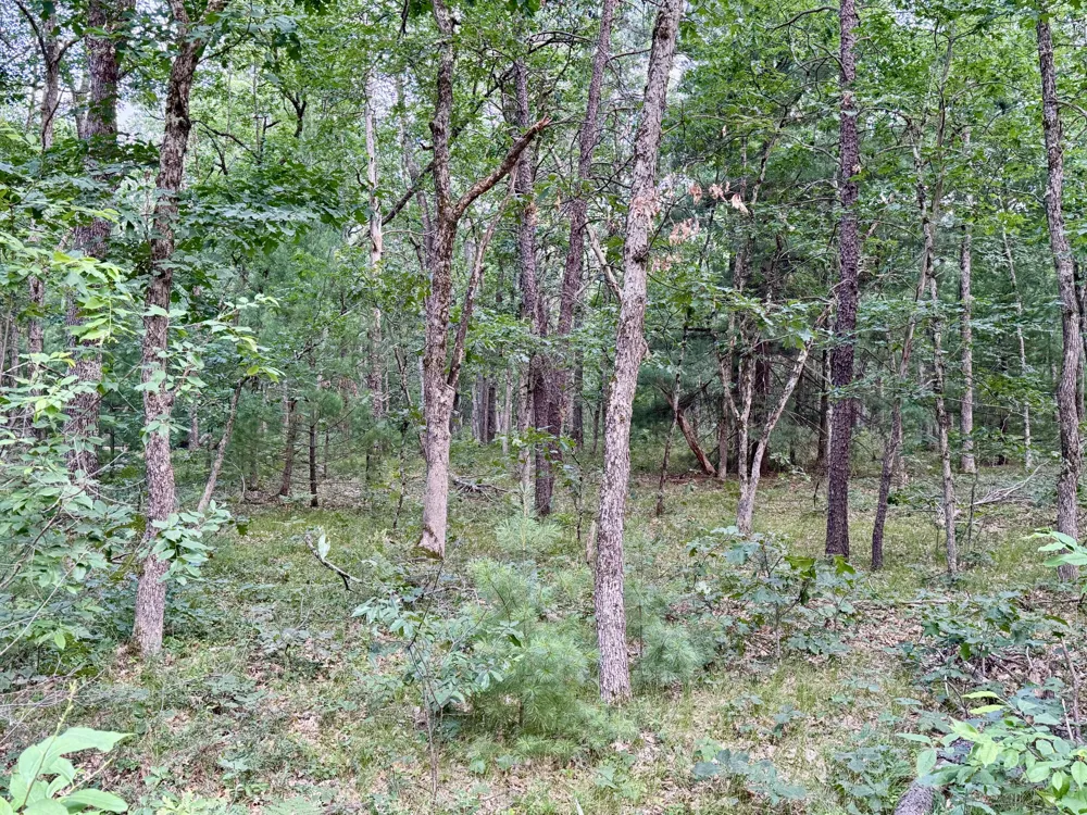 2 Steinberg Road Manistee, MI 49660