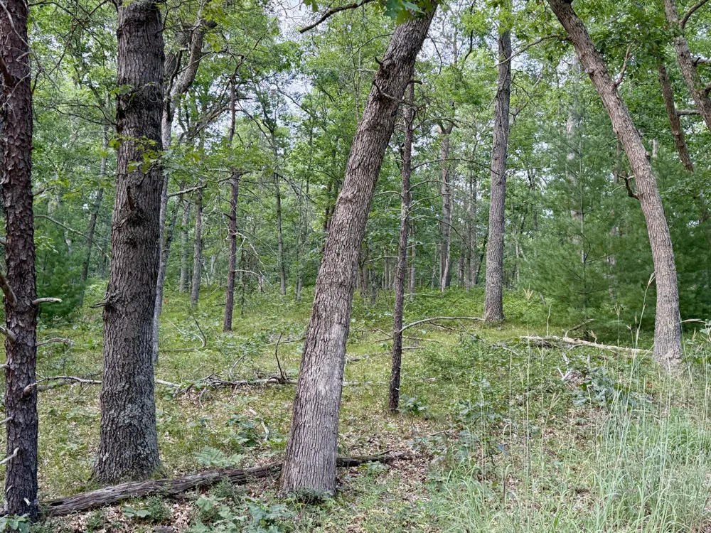 2 Steinberg Road Manistee, MI 49660