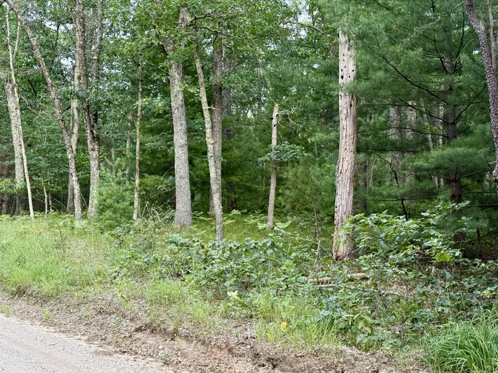 2 Steinberg Road Manistee, MI 49660