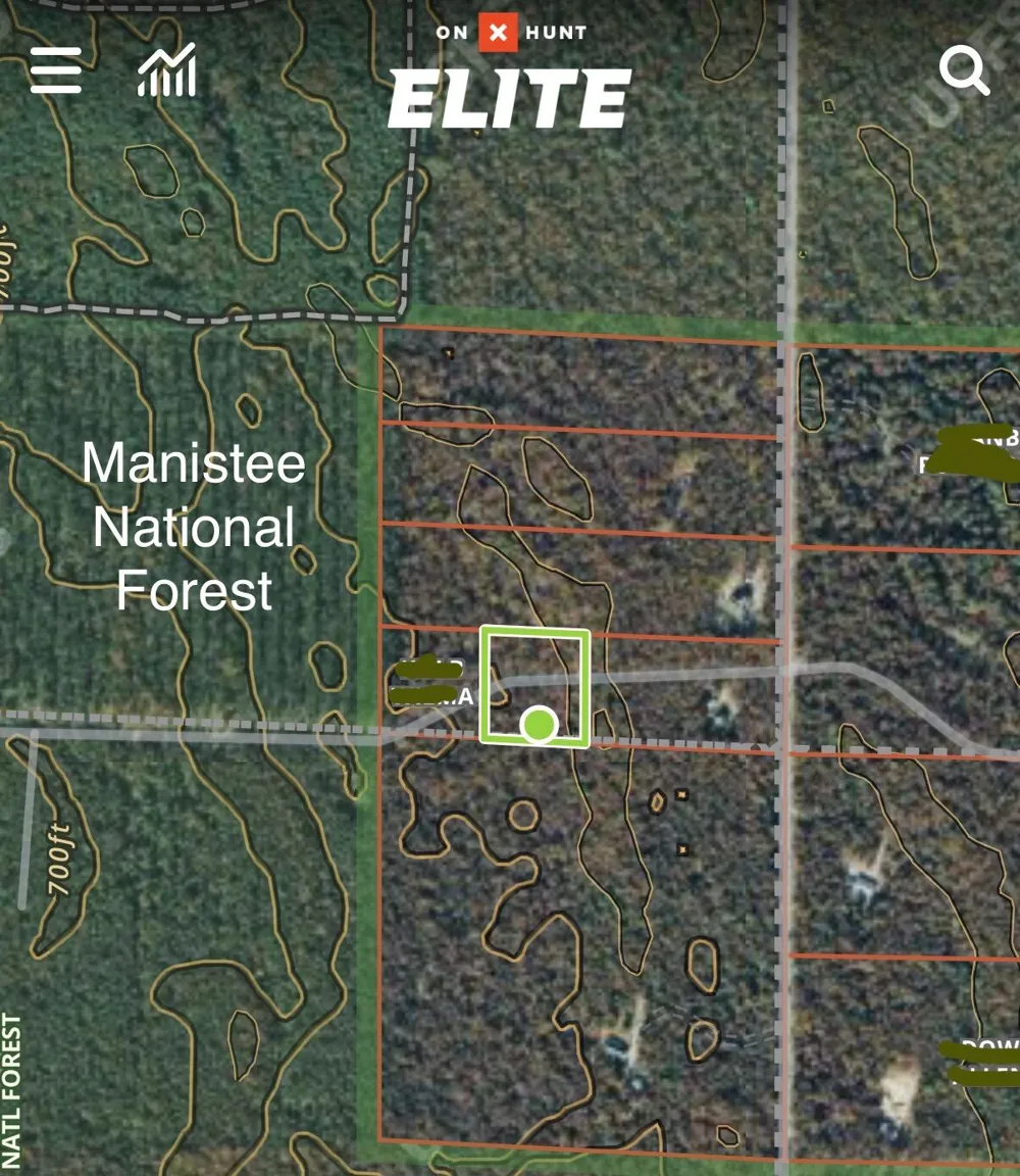 2 Steinberg Road Manistee, MI 49660