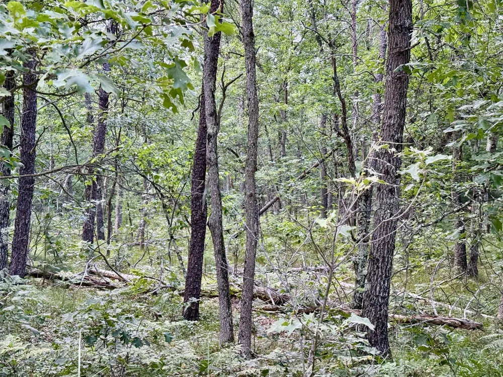 2 Steinberg Road Manistee, MI 49660