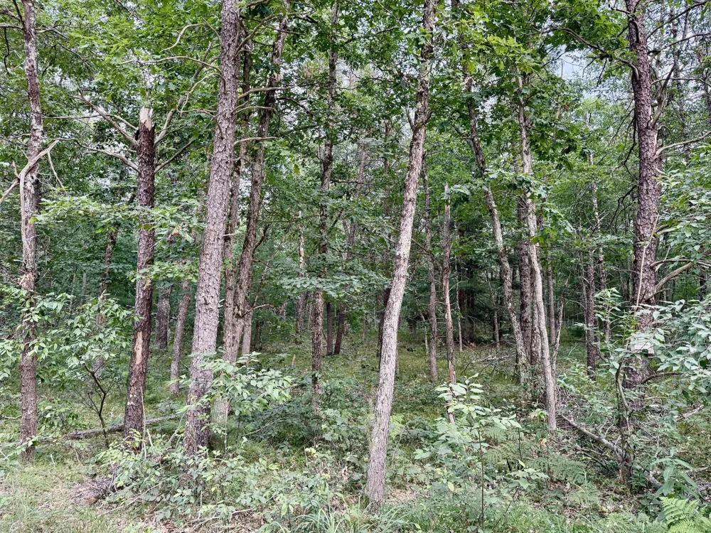 2 Steinberg Road Manistee, MI 49660