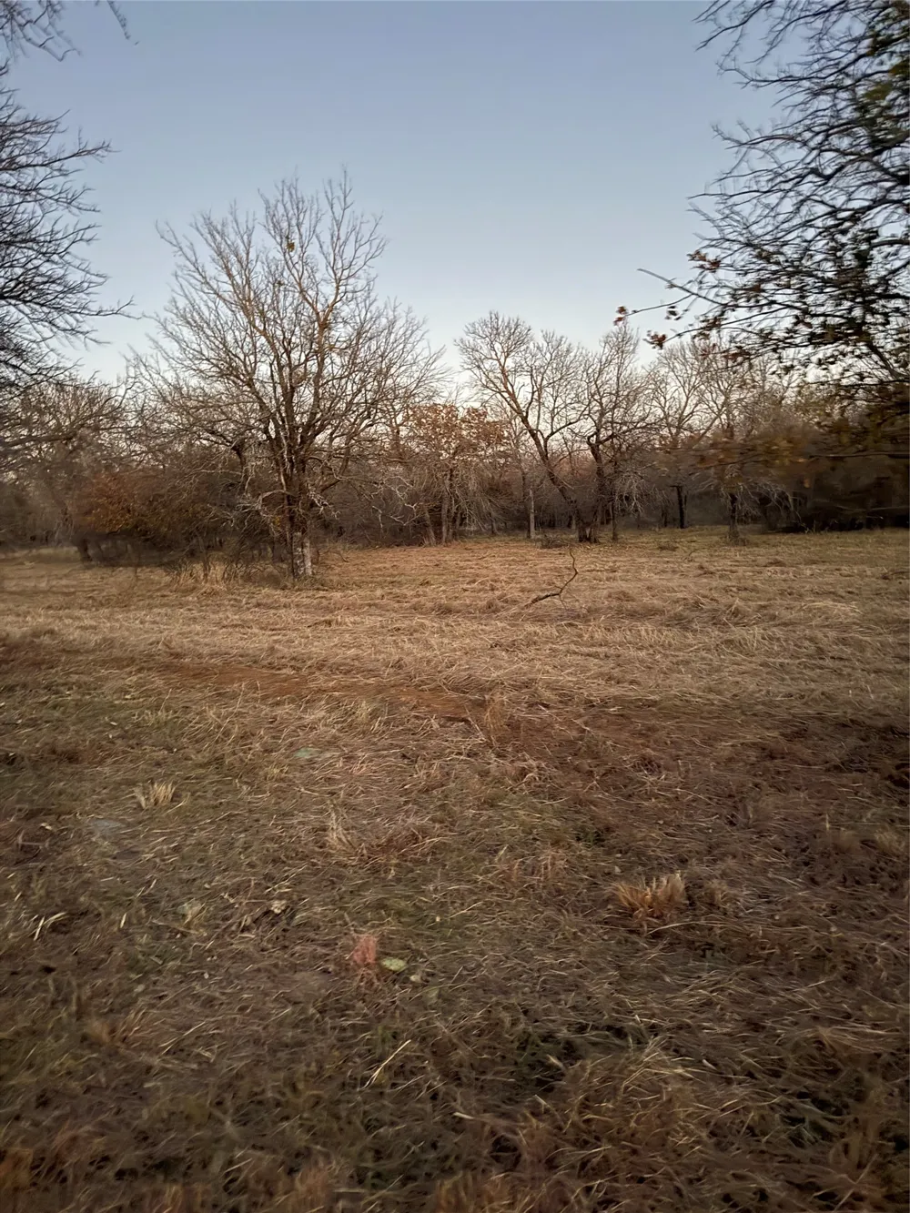 Ridgeline Drive #203 Chico, TX 76431
