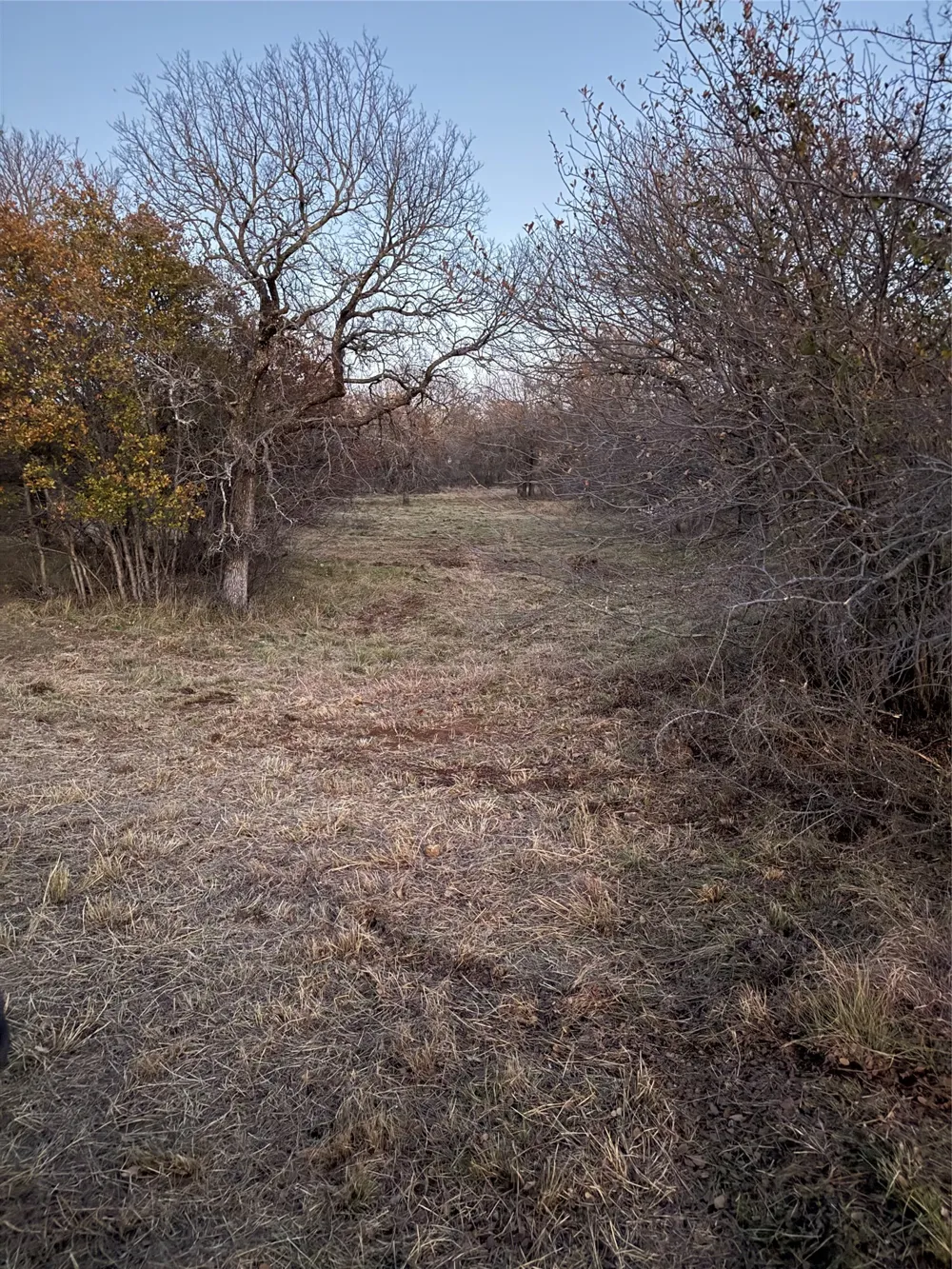 Ridgeline Drive #203 Chico, TX 76431