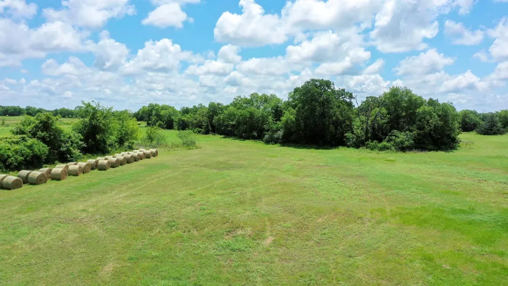 4853 Fm 1428 Madisonville, TX 77864