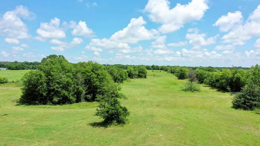 4853 Fm 1428 Madisonville, TX 77864