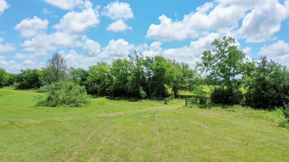 4853 Fm 1428 Madisonville, TX 77864
