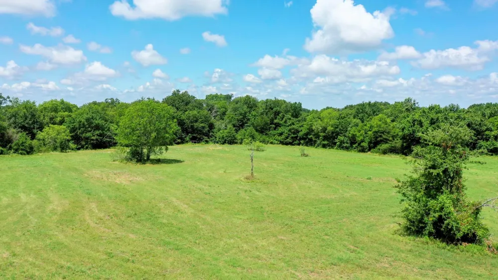 4853 Fm 1428 Madisonville, TX 77864