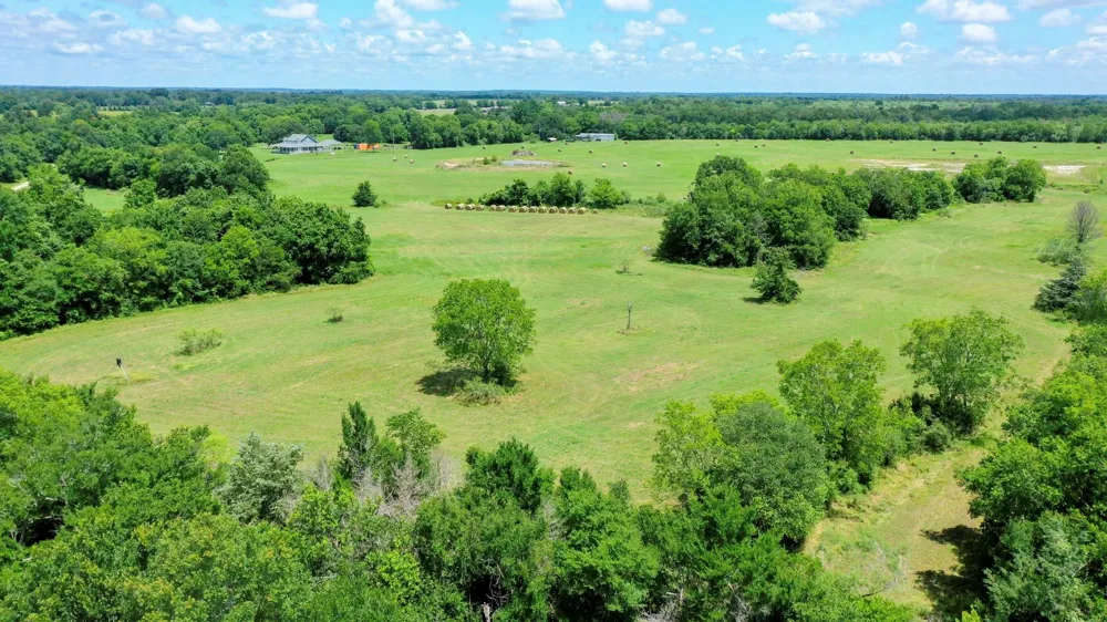 4853 Fm 1428 Madisonville, TX 77864