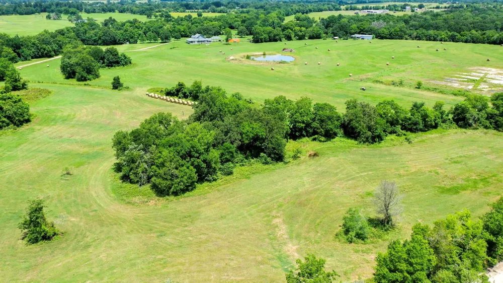 4853 Fm 1428 Madisonville, TX 77864