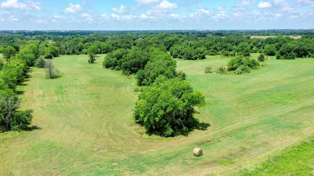 4853 Fm 1428 Madisonville, TX 77864