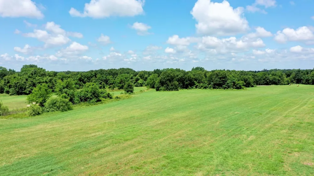 4853 Fm 1428 Madisonville, TX 77864