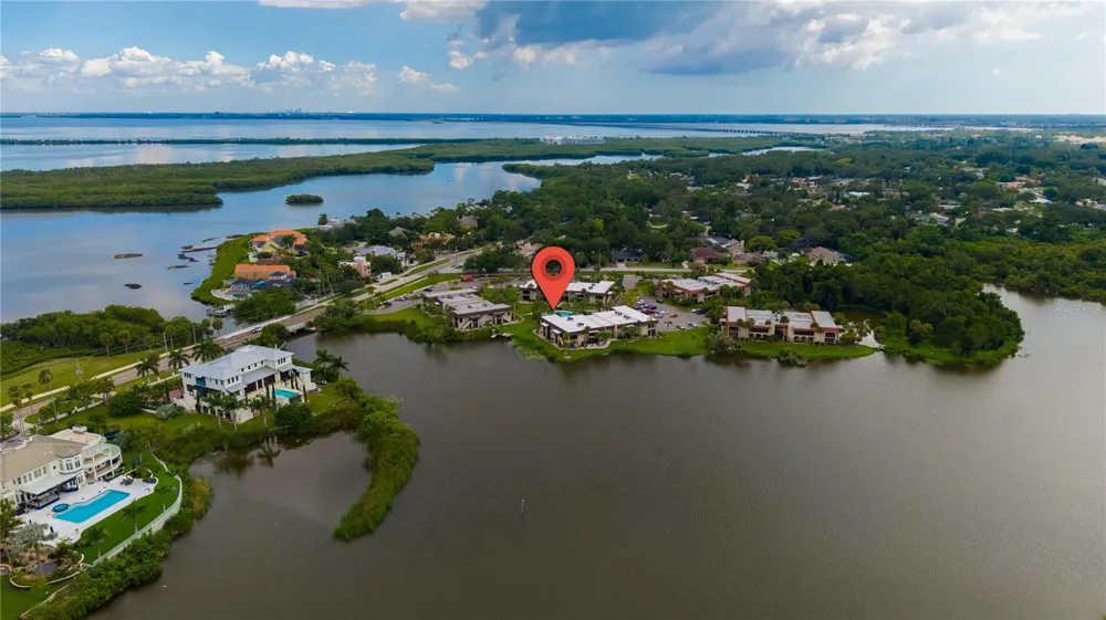 1005 S BAYSHORE BOULEVARD #102 Safety Harbor, FL 34695