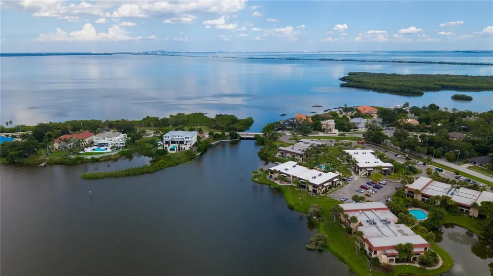 1005 S BAYSHORE BOULEVARD #102 Safety Harbor, FL 34695