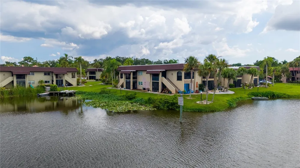 1005 S BAYSHORE BOULEVARD #102 Safety Harbor, FL 34695