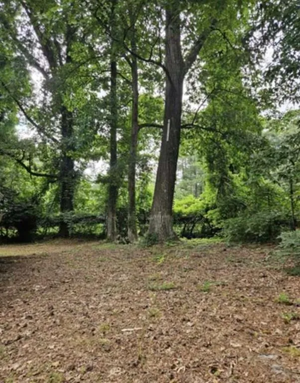 3069 McKenzie Road East Point, GA 30344