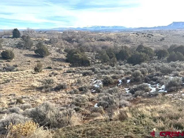 TBD Jennings Cortez, CO 81321