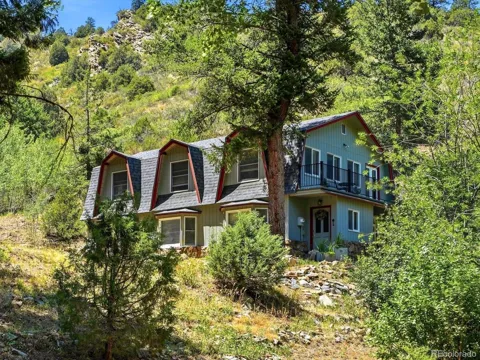 410 E Idaho Springs Road
