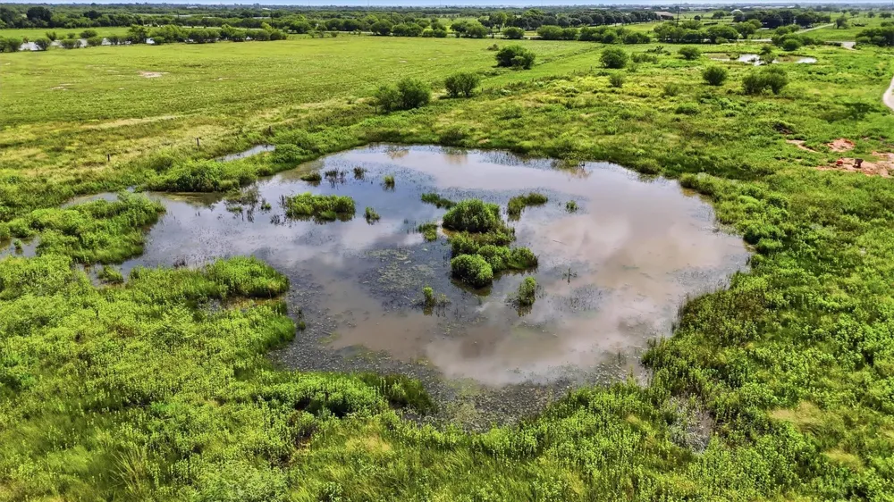 11035 Kerr Road Hempstead, TX 77445