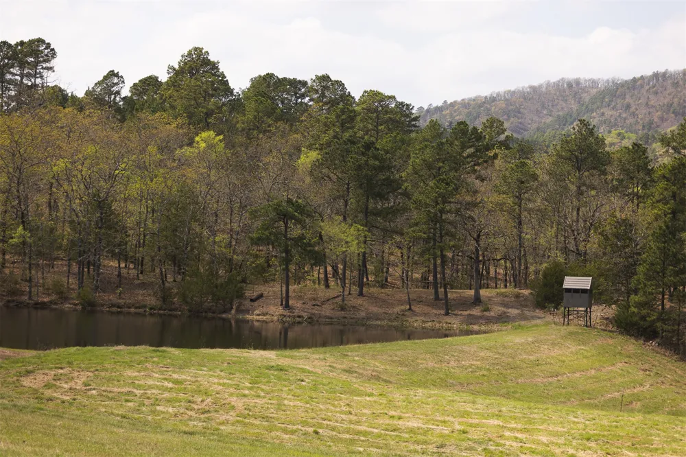 452533 E 1627 ROAD Albion, OK 74521