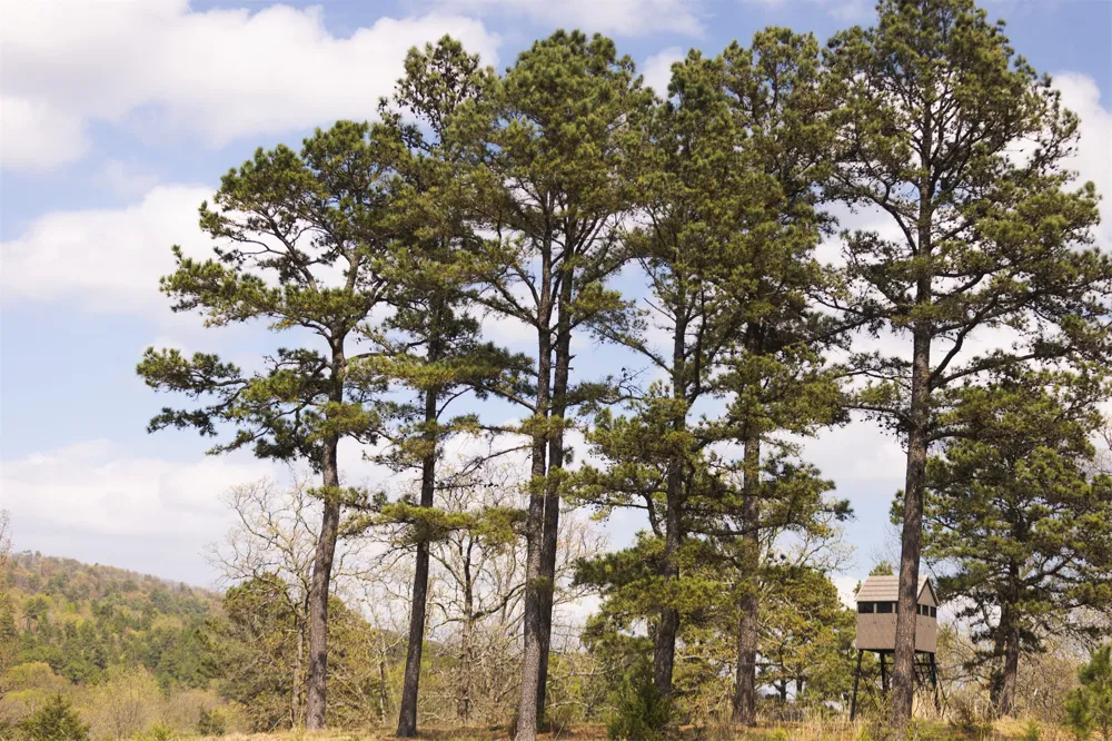 452533 E 1627 ROAD Albion, OK 74521