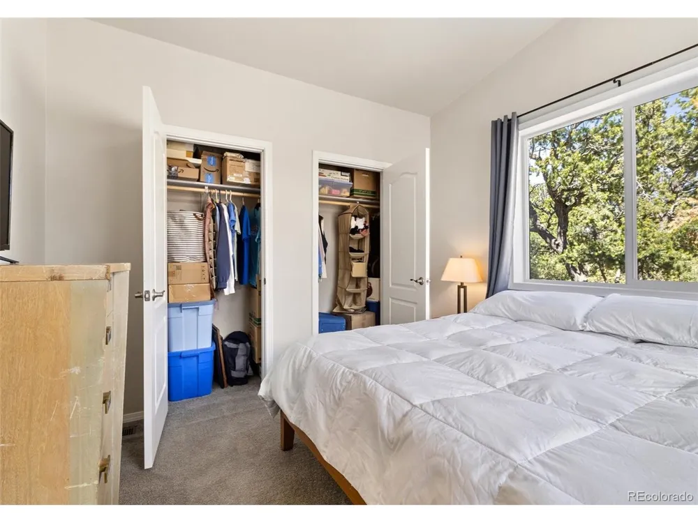 2772 Carefree Way Crestone, CO 81131