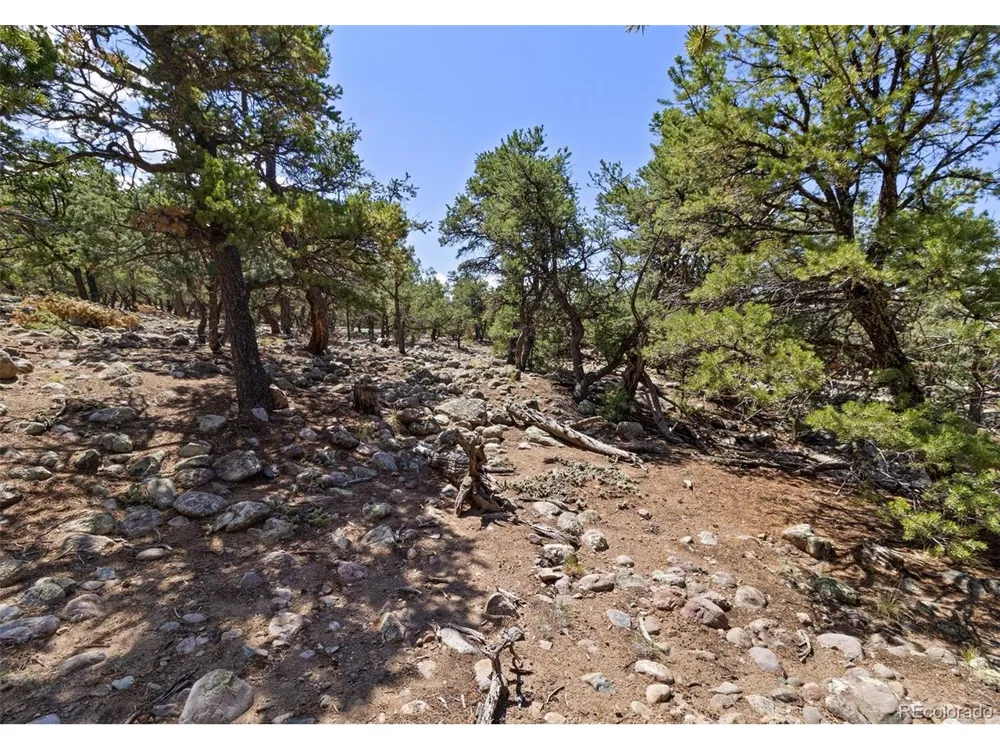 2772 Carefree Way Crestone, CO 81131