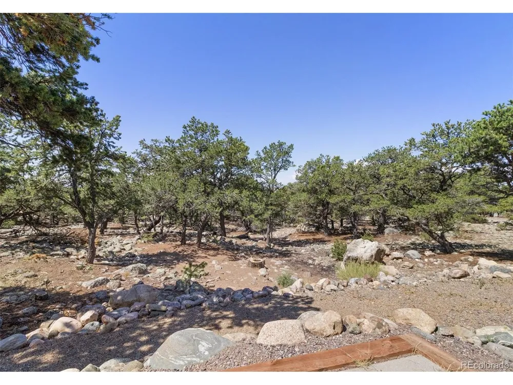 2772 Carefree Way Crestone, CO 81131