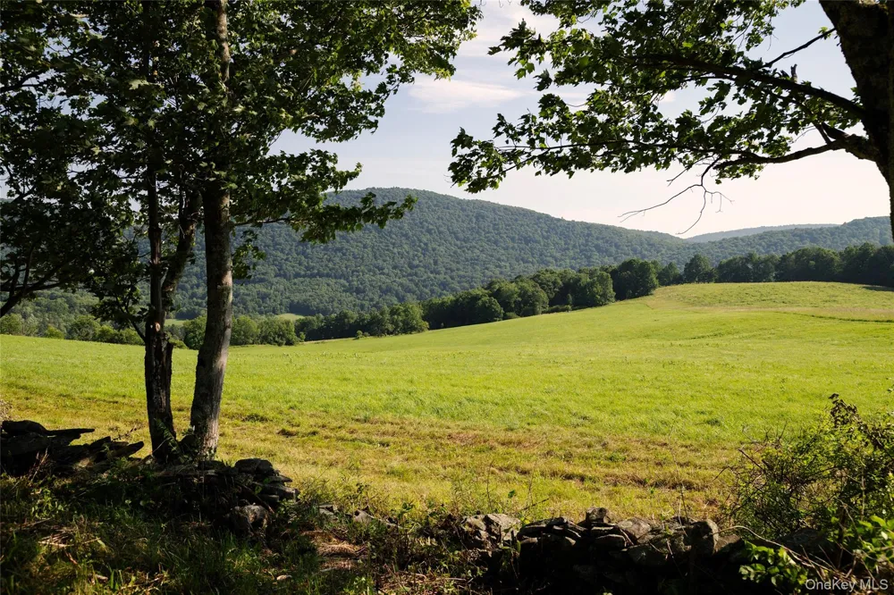 377 Reinertsen Hill Road Bovina Center, NY 13740