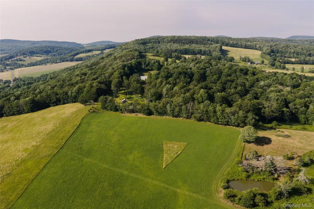 377 Reinertsen Hill Road Bovina Center, NY 13740