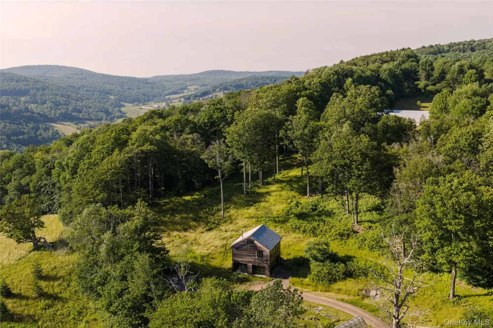 377 Reinertsen Hill Road Bovina Center, NY 13740