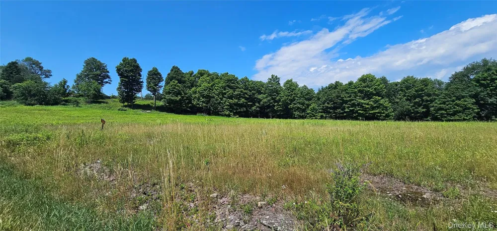 w/s Divine Corners Road Loch Sheldrake, NY 12759