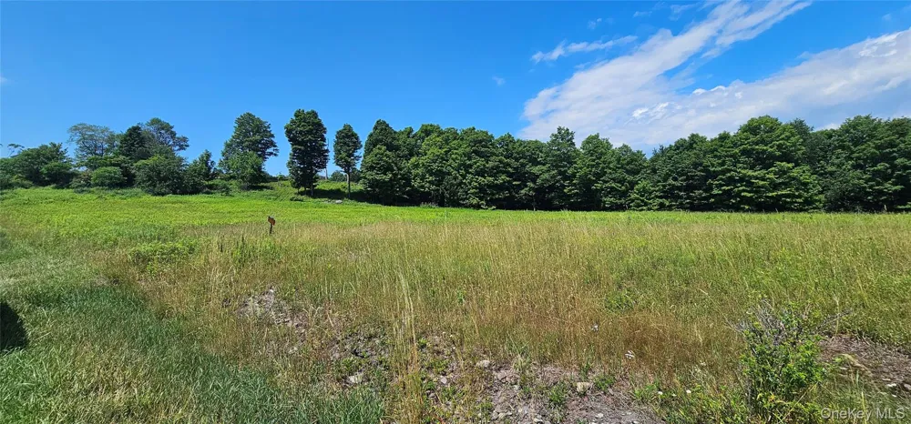 w/s Divine Corners Road Loch Sheldrake, NY 12759