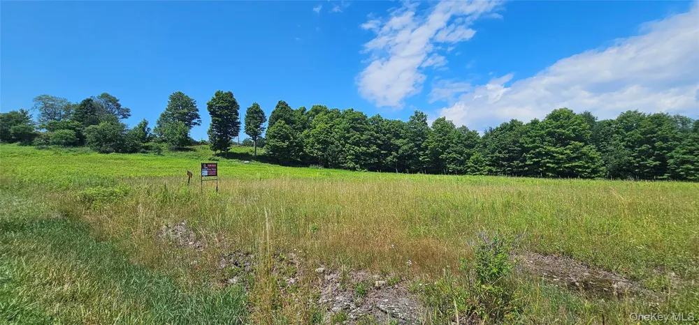 w/s Divine Corners Road Loch Sheldrake, NY 12759