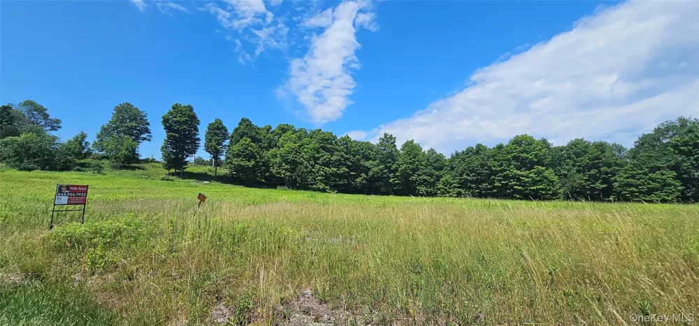 w/s Divine Corners Road Loch Sheldrake, NY 12759