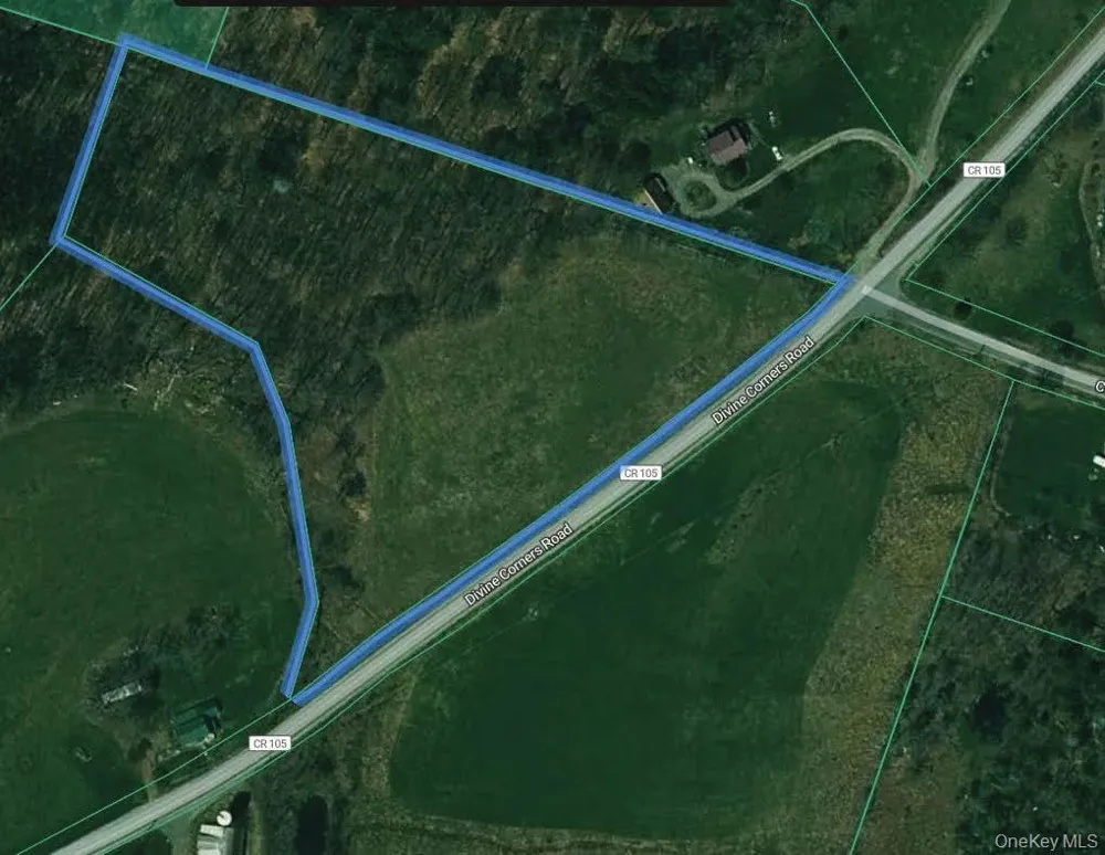 w/s Divine Corners Road Loch Sheldrake, NY 12759