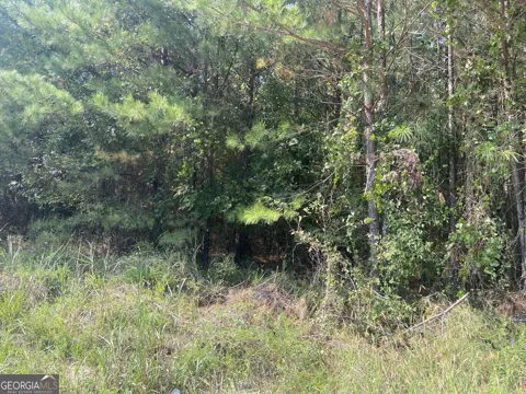 0 Saggus RD