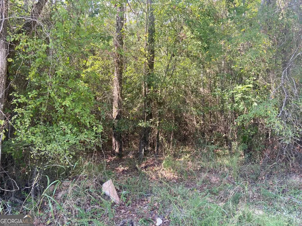 0 Saggus RD Crawfordville, GA 30631