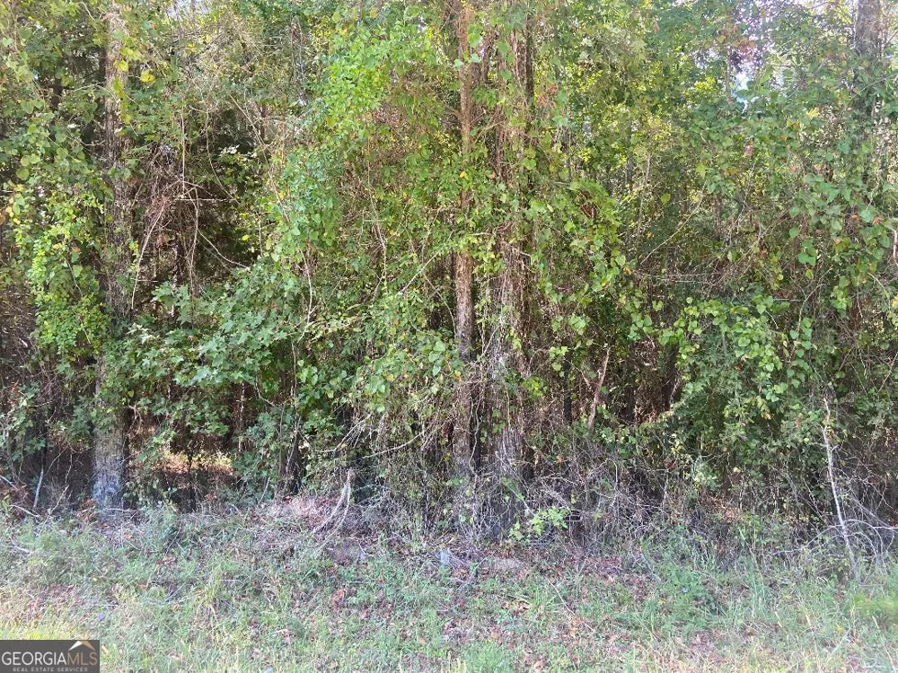 0 Saggus RD Crawfordville, GA 30631