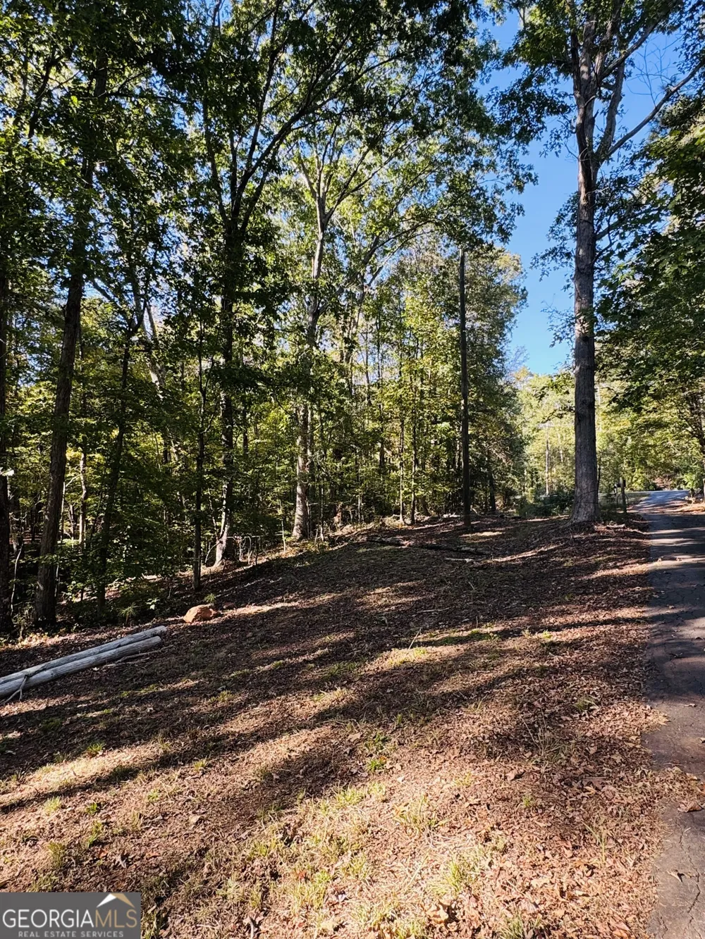 1516 Stark RD Jackson, GA 30233