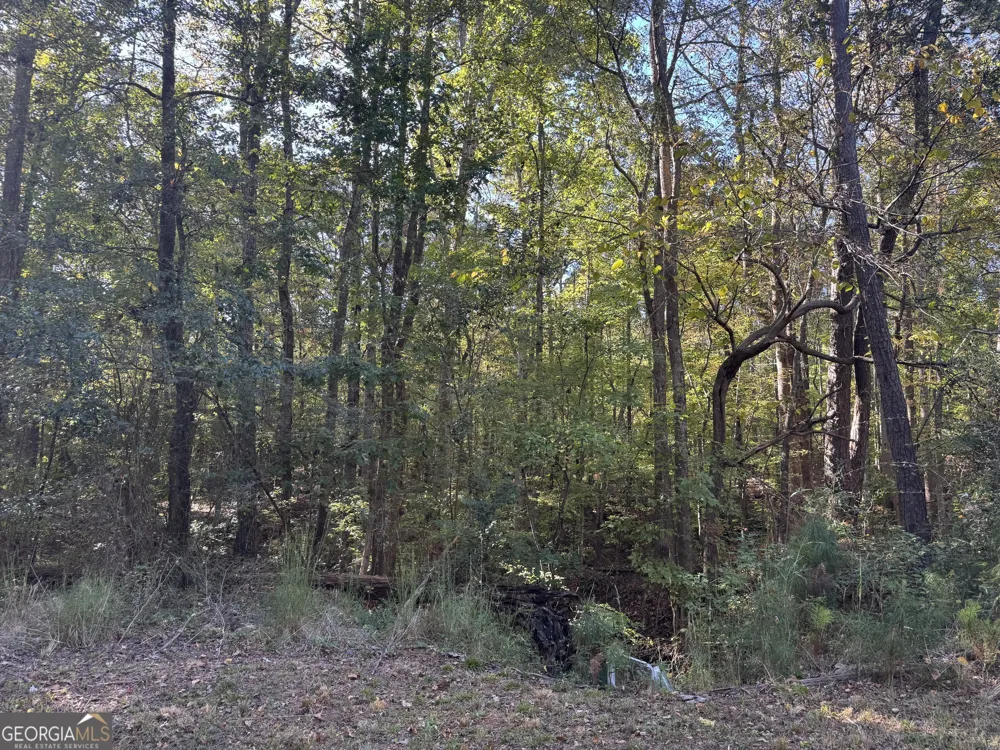 1516 Stark RD Jackson, GA 30233