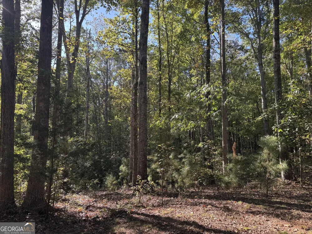 1516 Stark RD Jackson, GA 30233