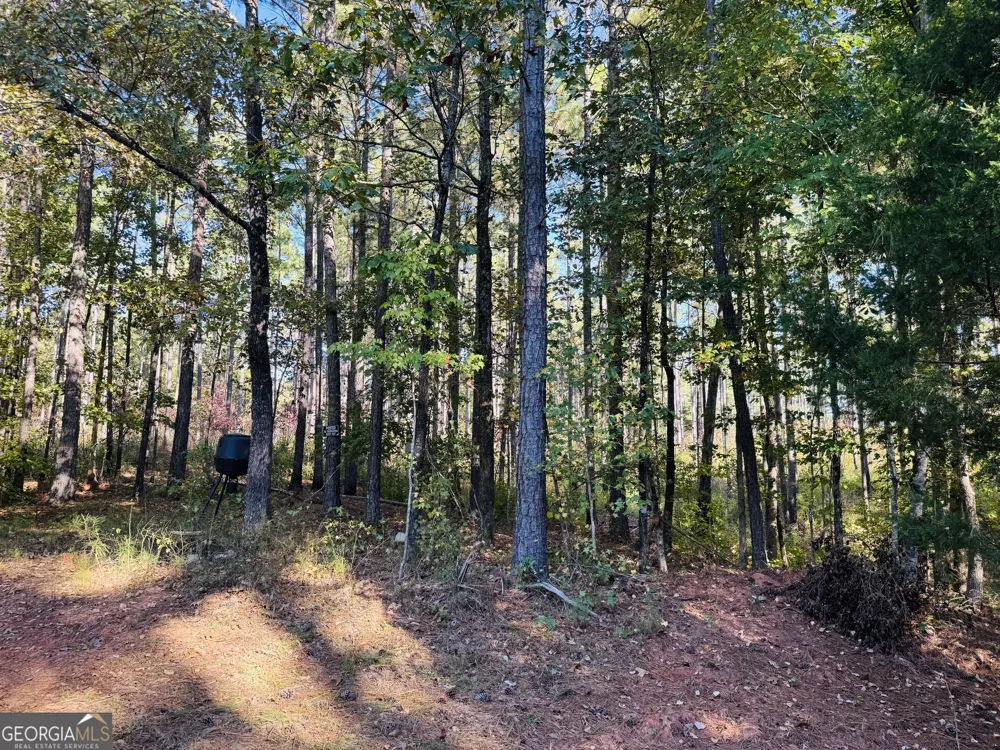 1516 Stark RD Jackson, GA 30233