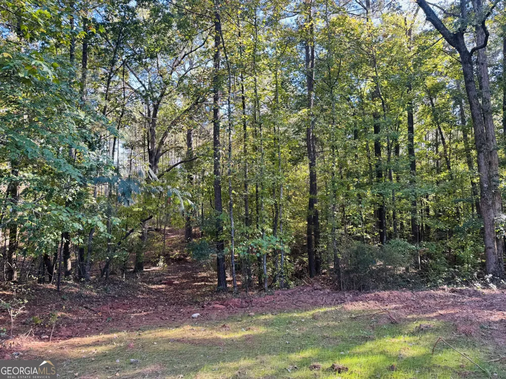 1516 Stark RD Jackson, GA 30233