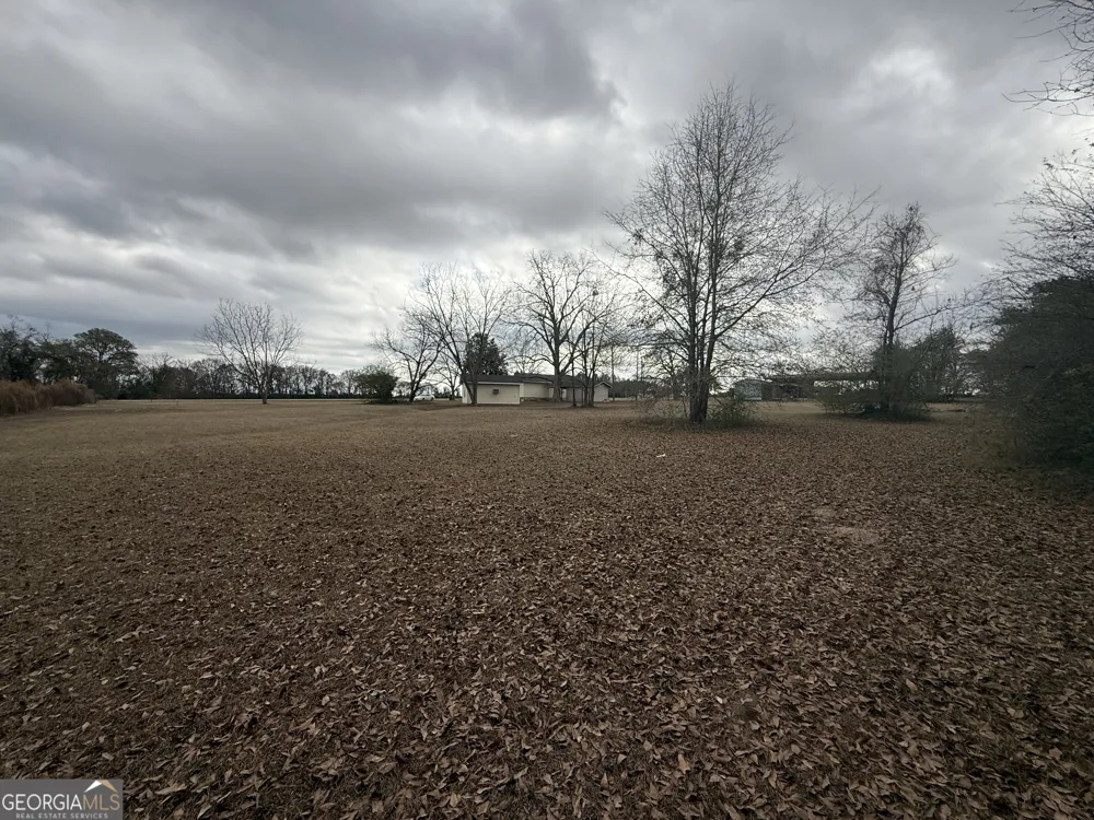 15497 Hwy 233 Abbeville, GA 31001