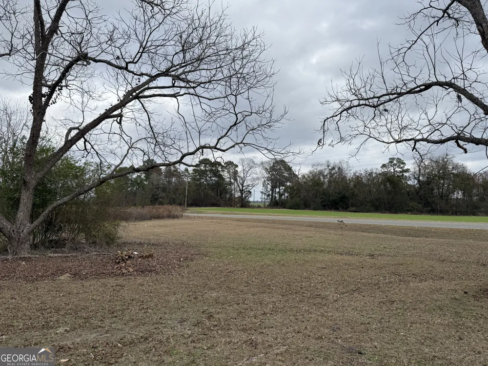 15497 Hwy 233 Abbeville, GA 31001