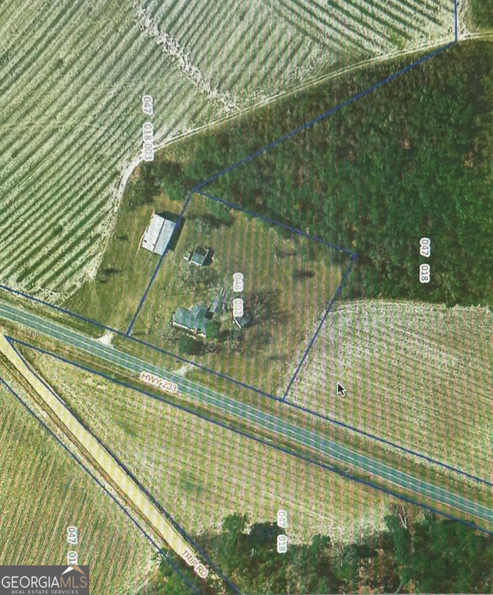 15497 Hwy 233 Abbeville, GA 31001