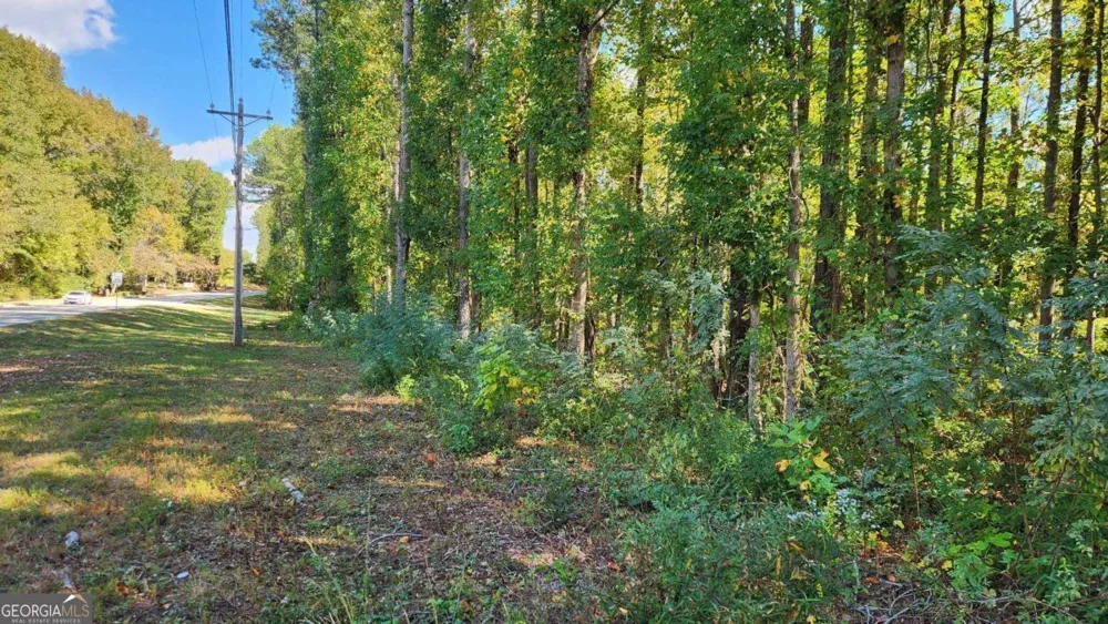 0 Bullsboro DR Newnan, GA 30265