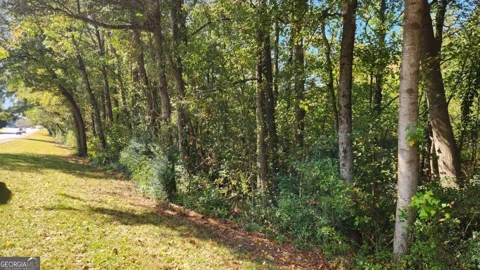 0 Bullsboro DR